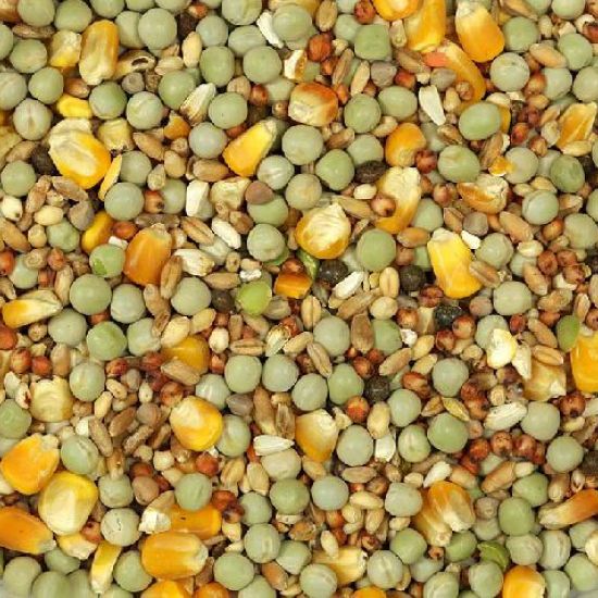 Palomas y perdices | Vinci Petfood | Alimento para mascotas - Vinci